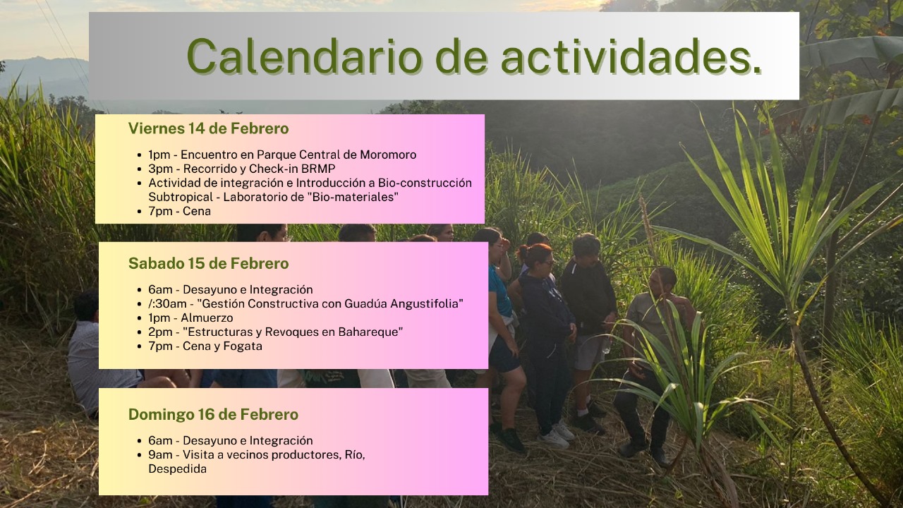 Actividades